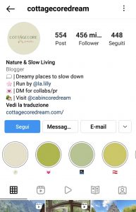 profili instagram cottagecore